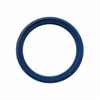 Bosch Ersatzteil TTNR: 7096480 Lippendichtung DN100