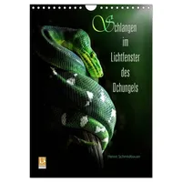 Calvendo Schlangen im Lichtfenster des Dschungels (Wandkalender 2026 DIN
