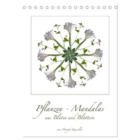 Calvendo Pflanzen - Mandalas aus Blüten und Blättern (Tischkalender