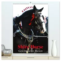 Calvendo Shire Horse - Geschmückte Riesen (hochwertiger Premium Wandkalender