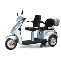 Efun ECO ENGEL 503 Elektromobil Zweisitzer 25 km/h Silber