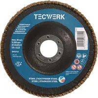 Tecwerk Fächerscheibe 2in1 D.125mm K.80 fl.INOX/Stahl