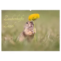 Calvendo Zauberhafte Ziesel (Wandkalender 2026 DIN A2 quer), CALVENDO