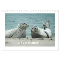 Calvendo Seals on the Beach (Wall Calendar 2026 DIN