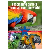 Calvendo Fascinating parrots from all over the world (Wall