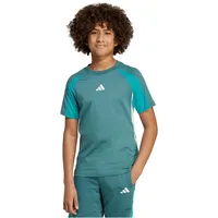 Adidas Seasonal Essentials Colorblock T-Shirt Kinder preloved teal -