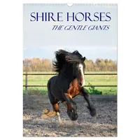 Calvendo Shire Horses The Gentle Giants (Wall Calendar 2026