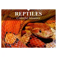 Calvendo Reptiles Colorful beauties (Wall Calendar 2026 DIN A3