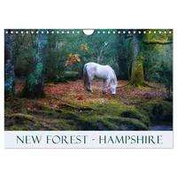 Calvendo New Forest Hampshire (Wall Calendar 2026 DIN A4