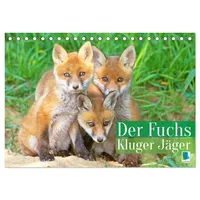 Calvendo Der Fuchs: Kluger Jäger (Tischkalender 2026 DIN A5