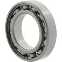 Nsk Rillenkugellager 6006 C3 ID 30mm AD 55mm Breite13mm