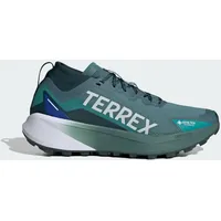 Adidas Terrex Agravic GTX Schuhe (Größe 42, gruen)
