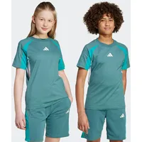Adidas Seasonal Essentials Colorblock T-Shirt Kinder JW4966 - preloved