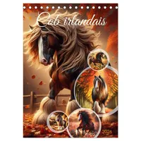 Calvendo Cob irlandais (Calendrier de bureau 2026 DIN A5