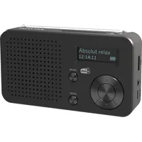 Telestar TOP 100 Schwarz Akku-Radio DAB+, UKW Bluetooth®, USB