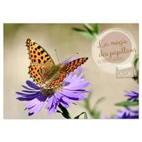 Calvendo LA MAGIE DES PAPILLONS (Calendrier mural 2026 DIN