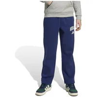 Adidas Seasonals Essentials Collegiate Typography Pant Kinder - blau