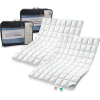 SPESSARTTRAUM 2 Stück Daunenpass Sommer Daunen Bettdecke Sommerdecke 320g