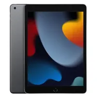 Apple iPad 10,2" 9th Generation Wi-Fi 256 GB Space