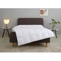 OTTO home Gänsedaunenbettdecke OTTO HOME "Litrone, Bettdecke 135x200 cm,