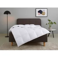 Home Affaire Daunenbettdecke HOME AFFAIRE "Litrone, Bettdecke 135x200 cm,