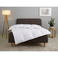 Home Affaire Daunenbettdecke HOME AFFAIRE "Litrone, Bettdecke 135x200 cm,