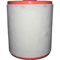 JP Group Luftfilter JP 1118609400