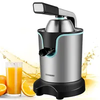 Steinborg Elektrische Entsafter Edelstahl 800W Edelstahlsieb