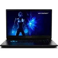 Medion Deputy 15 P1 15,6" Intel Core 9 270H