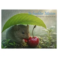 Calvendo In feuchter Mission - Mistwetter Geschichten (Tischkalender 2026