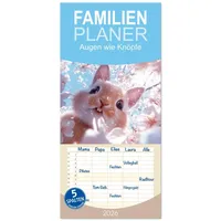 Calvendo Familienplaner 2026 - Augen wie Knöpfe mit 5