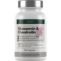 Exvital Glucosamin Chondroitin, Kapseln Komplex von EXVital®