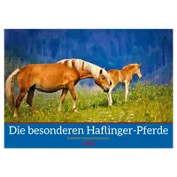 Calvendo Die besonderen Haflinger-Pferde (Wandkalender 2026 DIN A3 quer),