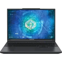 Captiva Gaming I91-962 16'' Intel Core i9-13900HX 32 GB