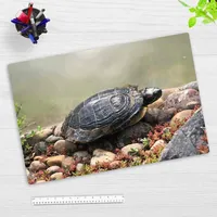 Cover-your-desk Schreibtischunterlage für Kinder und Erwachsene Schildkröte am Wasser,