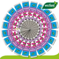 Westland x 40 ml Orchideen Vitalkur »Die Nr 1