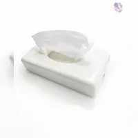 Blanc HYGIENIC Kosmetiktuchspender FUTURA in Edelstahl & Weiß, Füllkapazität: