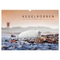 Calvendo Kegelrobben - Die Kegelrobben von Helgoland (Wandkalender 2026