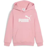 Puma ESS No. 1 Logo Hoodie FL PS