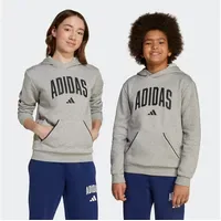 Adidas Seasonals Essentials Collegiate Typography Hoodie Kinder -