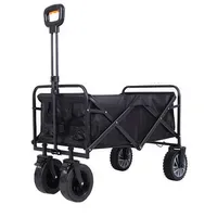 Eneway Bollerwagen Bollero elektrisch schwarz