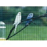 Betafence Deutschland GmbH Casanet 6,3x 6,3x0,73x 1000 starkverz. a