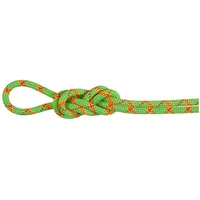 Mammut Alpine Core Protect Dry 8 Mm Seil -