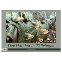 Calvendo Der Hainich in Thüringen - Weltnaturerbe (Tischkalender 2026