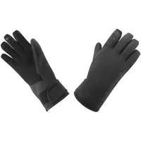 Gore Wear GOREWEAR Gore-TEX Isolierte Handschuhe, Black, 10