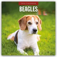 Brown trout-auslieferer flechsig Beagles – Beagle 2026 – 16-Monatskalender: