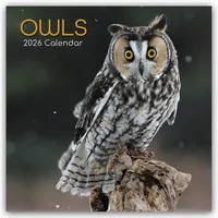 Browntrout Verlags GmbH Owls - Eulen 2026 - 16-Monatskalender