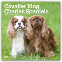 Brown trout-auslieferer flechsig Cavalier King Charles Spaniels 2026 –