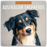 BrownTrout / Flechsig Australian Shepherds - Australian Shepherd 2026