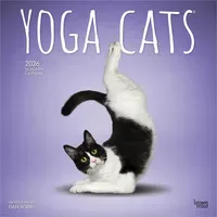 BrownTrout Yoga Cats – Katzen Yoga 2026 – 16-Monatskalender: